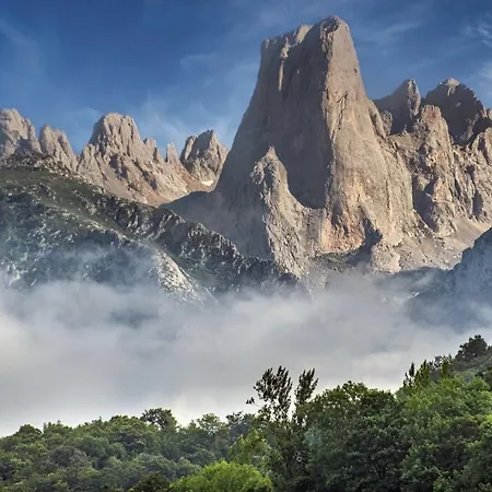 Apartamento Turísticos El Collau